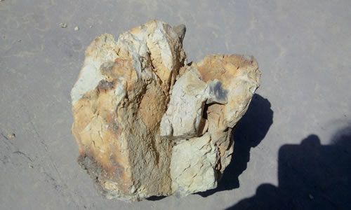 ������ϸ��75